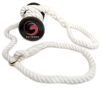 Twisted Cotton Rope Dog Leash Slip Lead by Ravenox for Small, Medium and Large Dogs (Multiple Colors)